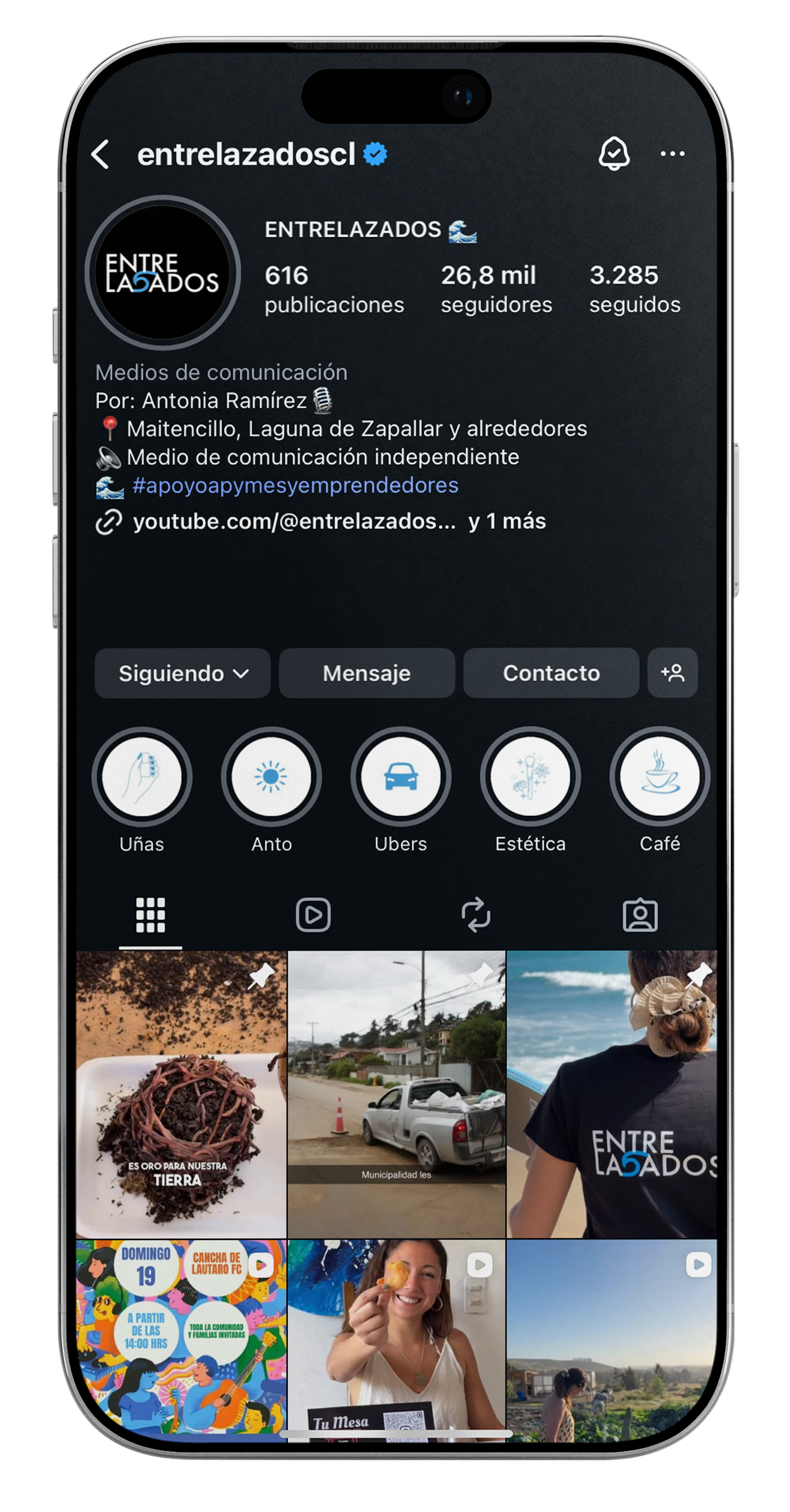 Mockup iPhone 17 Pro mostrando el perfil de Entrelazados