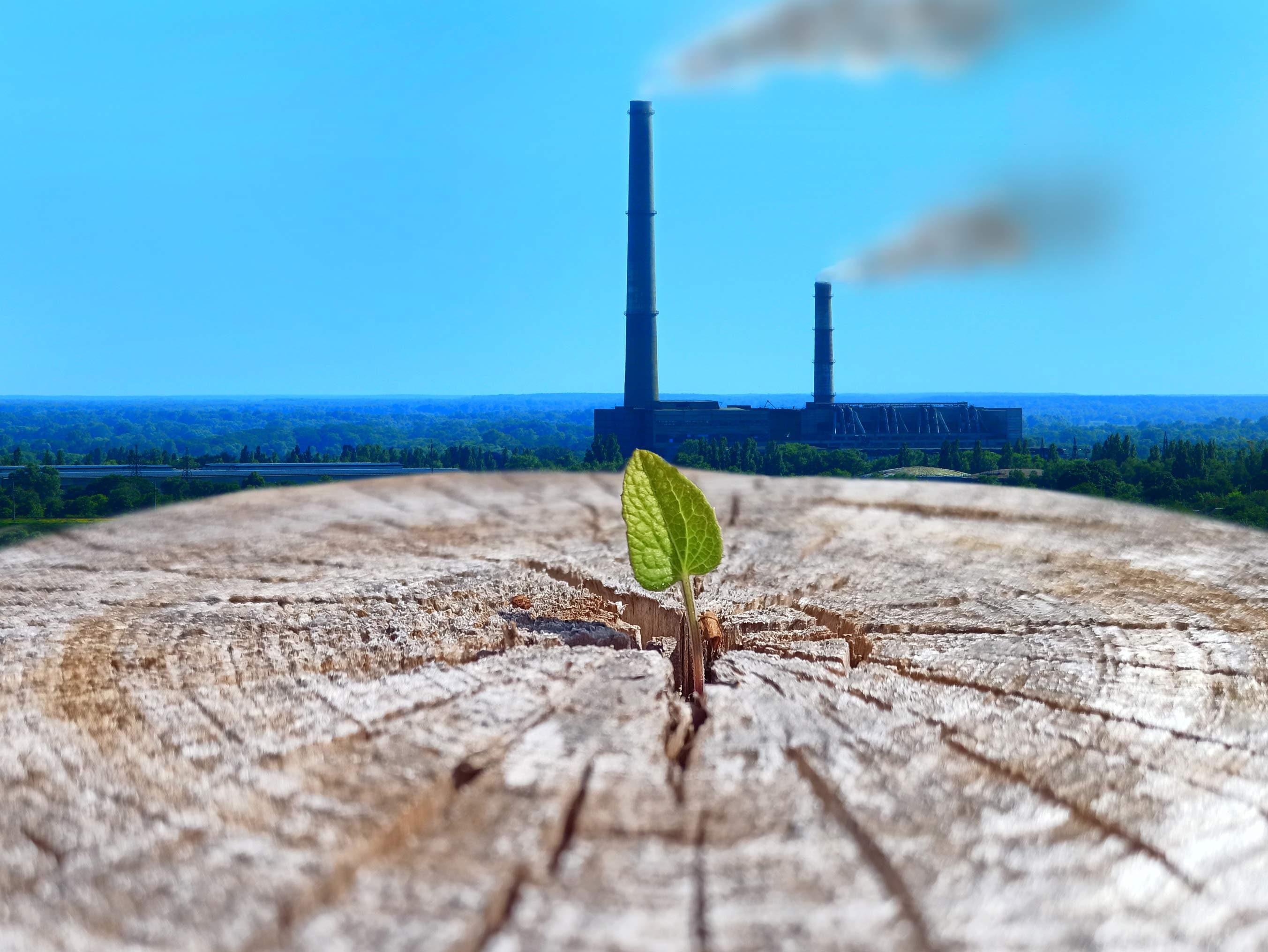 Desarrollo y degradación de la naturaleza, ¿Cómo podemos ayudar?