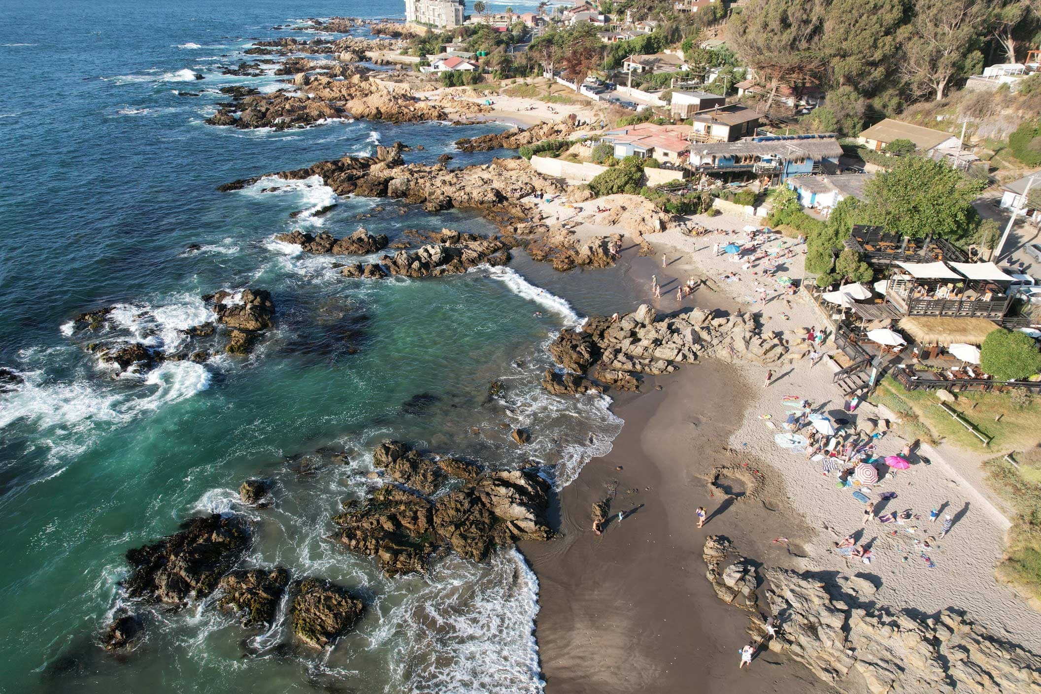 Las nuevas semillas de Maitencillo